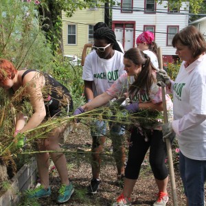 Volunteers work together in a garden.