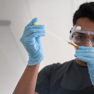Early Discoveries - Undergraduate Research Opportunities