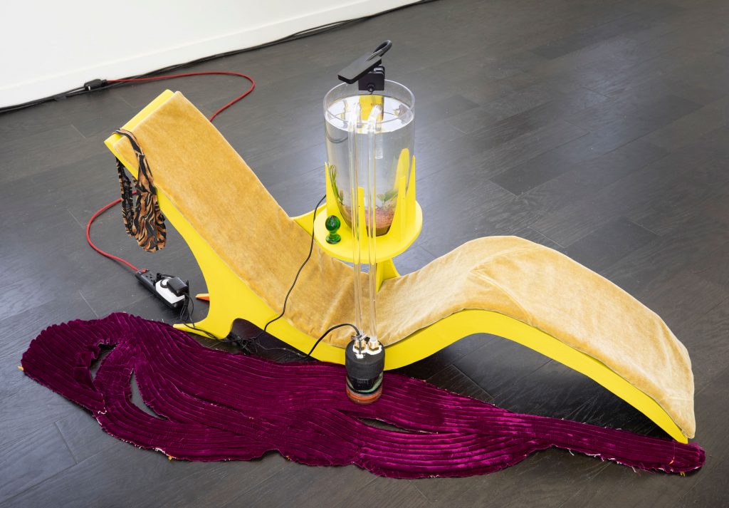 Odessa Straub, Supplemental Soul Suppository, 2019, Wood, mohair, silk velvet, rope, canvas, upholstery foam, thong, glass cloche, aquarium substrate, Plexiglas, plants, water., 29.5 x 71 x 31”, courtesy of the artist and SEPTEMBER gallery;
