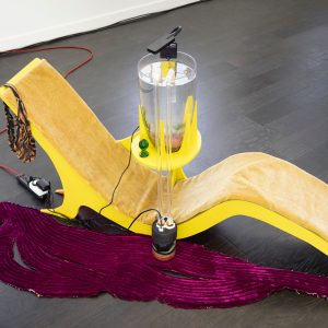 Odessa Straub, Supplemental Soul Suppository, 2019, Wood, mohair, silk velvet, rope, canvas, upholstery foam, thong, glass cloche, aquarium substrate, Plexiglas, plants, water., 29.5 x 71 x 31”, courtesy of the artist and SEPTEMBER gallery;